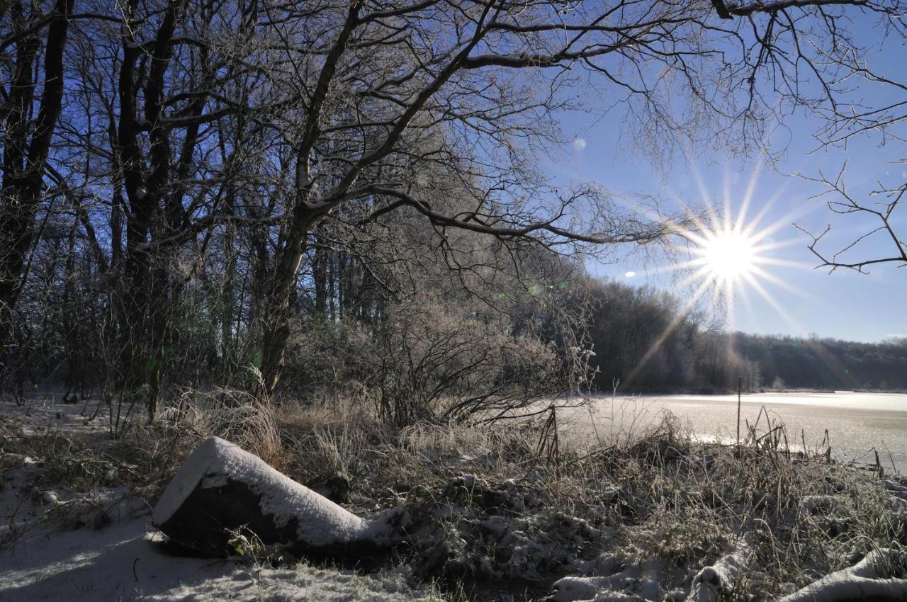 Ferienhof Jepsen Westerholz Exteriör bild