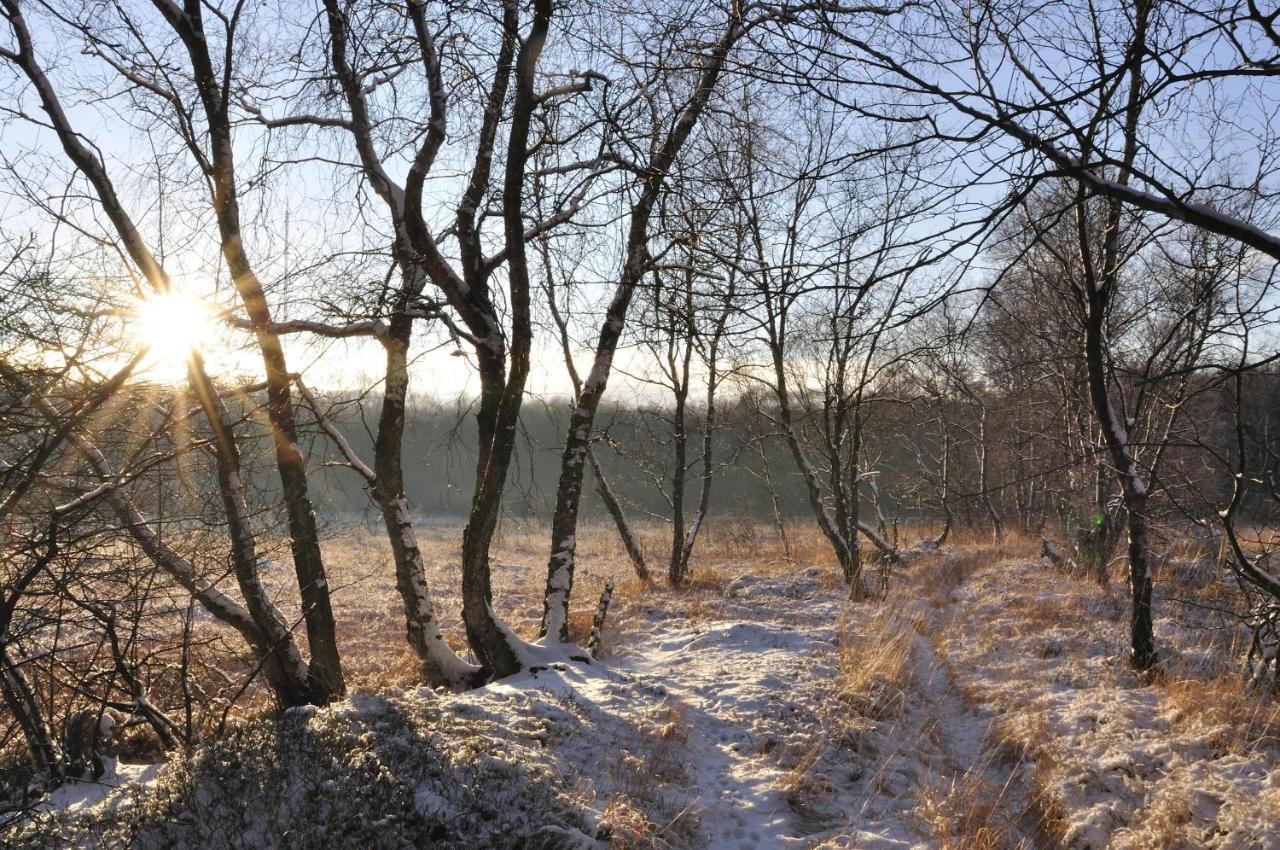 Ferienhof Jepsen Westerholz Exteriör bild