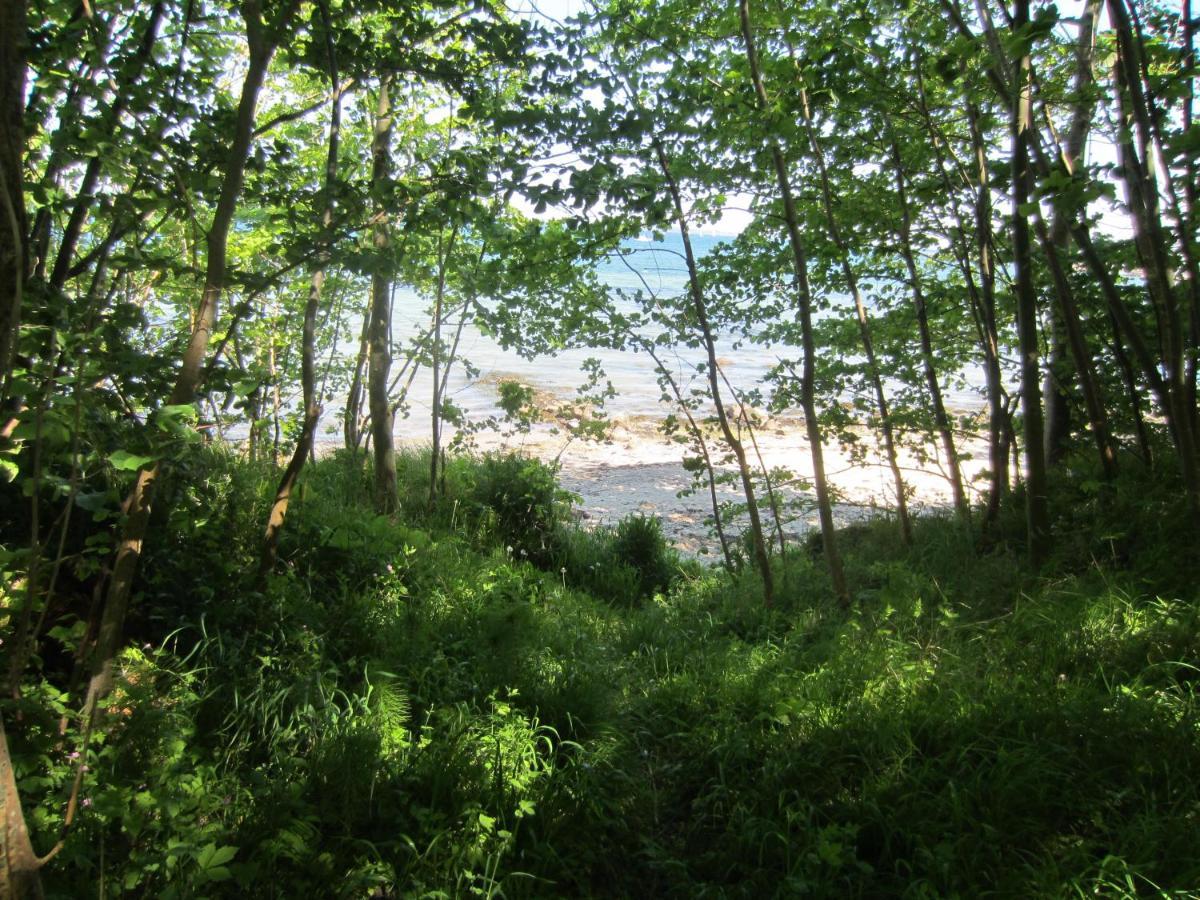 Ferienhof Jepsen Westerholz Exteriör bild
