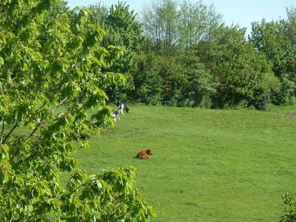 Ferienhof Jepsen Westerholz Rum bild